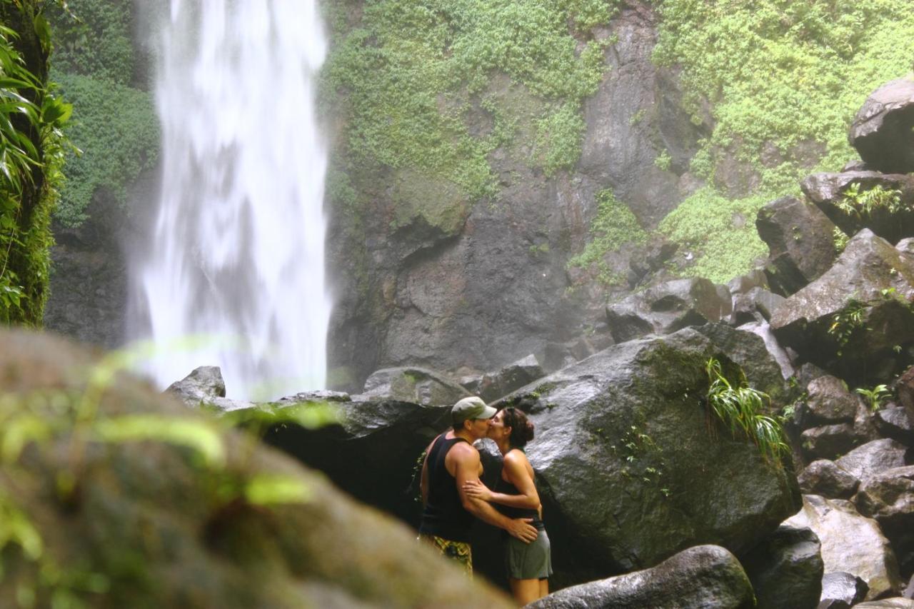 Jungle Bay Dominica Soufriere Exterior foto